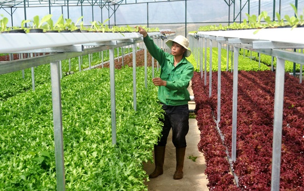 Doanh nghiệp cần nắm rõ các khoản thu nhập được miễn thuế TNDN