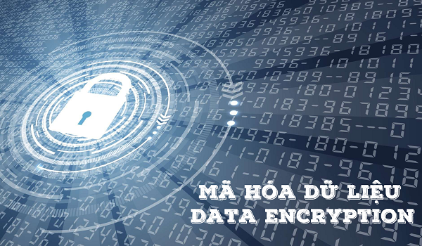 Data Encryption là quá trình chuyển dữ liệu từ hình thái này sang hình thái khác.