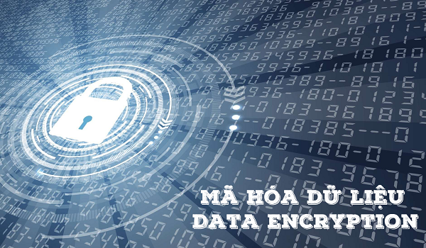 Mã hóa dữ liệu đang ngày càng phổ biến và phát triển.