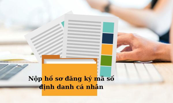 Quy trình nộp hồ sơ đăng ký lấy mã số định danh cá nhân